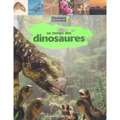 Dorling Kindersley Au Temps Des Dinosaures - Publicité Dorling Kindersley Au Temps Des Dinosaures - Publicité