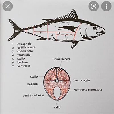 Collectif Surtout Les Thons ! : Thunnus Thynnus : Une Histoire Culturelle Et Culinaire Du Thon Rouge De Méditerranée - Publicité Collectif Surtout Les Thons ! : Thunnus Thynnus : Une Histoire Culturelle Et Culinaire Du Thon Rouge De Méditerranée - Publicité
