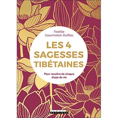 Noëllie Gourmelon Duffau Les 4 Sagesses Tibétaines : Pour Renaître De Chaque Étape De Vie - Publicité Noëllie Gourmelon Duffau Les 4 Sagesses Tibétaines : Pour Renaître De Chaque Étape De Vie - Publicité