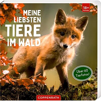 Meine Liebsten Tiere Im Wald - Publicité Meine Liebsten Tiere Im Wald - Publicité