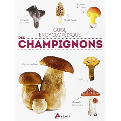 Collectif Guide Encyclopédique Des Champignons - Publicité Collectif Guide Encyclopédique Des Champignons - Publicité
