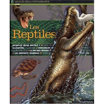 Carson Creagh Les Reptiles - Publicité Carson Creagh Les Reptiles - Publicité