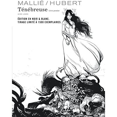 Hubert Ténébreuse. Vol. 1 - Publicité Hubert Ténébreuse. Vol. 1 - Publicité