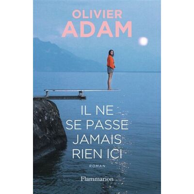 Olivier Adam Il Ne Se Passe Jamais Rien Ici - Publicité Olivier Adam Il Ne Se Passe Jamais Rien Ici - Publicité