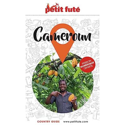 Petit Futé Cameroun - Publicité Petit Futé Cameroun - Publicité