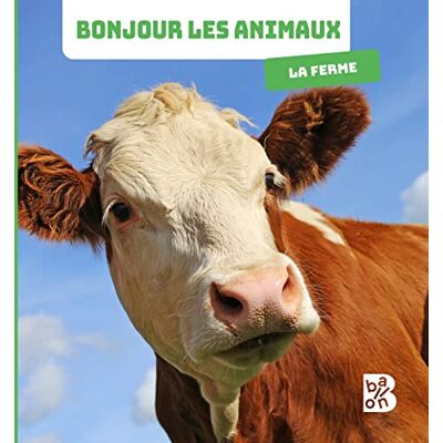 Ballon La Ferme - Publicité Ballon La Ferme - Publicité