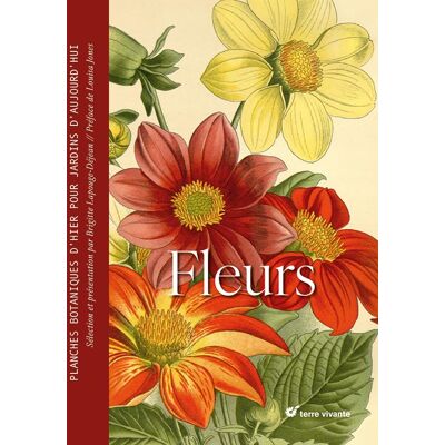 Brigitte Lapouge-Déjean Fleurs : Planches Botaniques D'Hier Pour Jardins D'Aujourd'Hui - Publicité Brigitte Lapouge-Déjean Fleurs : Planches Botaniques D'Hier Pour Jardins D'Aujourd'Hui - Publicité