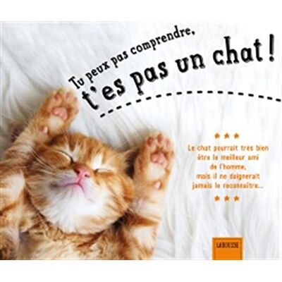 Larousse Tu Peux Pas Comprendre, T'Es Pas Un Chat ! - Publicité Larousse Tu Peux Pas Comprendre, T'Es Pas Un Chat ! - Publicité