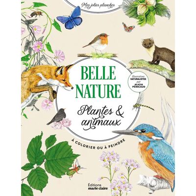 Belle Nature : Plantes & Animaux À Colorier Ou À Peindre - Publicité Belle Nature : Plantes & Animaux À Colorier Ou À Peindre - Publicité