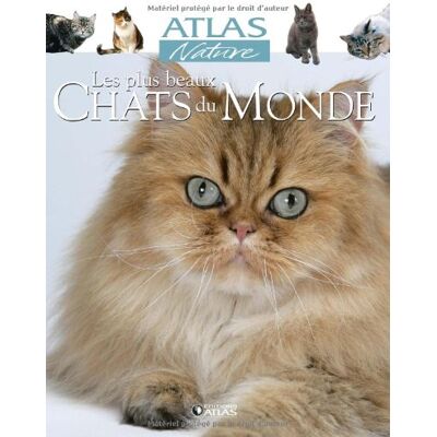 Atlas Les Plus Beaux Chats Du Monde - Publicité Atlas Les Plus Beaux Chats Du Monde - Publicité