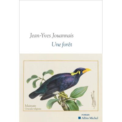 Jean-Yves Jouannais Une Forêt - Publicité Jean-Yves Jouannais Une Forêt - Publicité