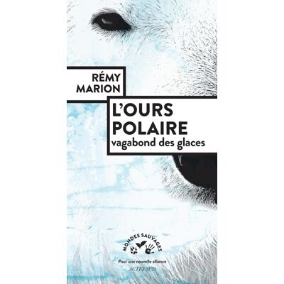 Rémy Marion L'Ours Polaire : Vagabond Des Glaces - Publicité Rémy Marion L'Ours Polaire : Vagabond Des Glaces - Publicité