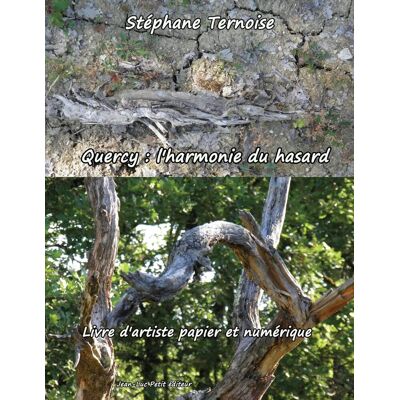 Stéphane Ternoise Quercy : L'Harmonie Du Hasard: Livre D'Artiste Papier Et Numérique - Publicité Stéphane Ternoise Quercy : L'Harmonie Du Hasard: Livre D'Artiste Papier Et Numérique - Publicité
