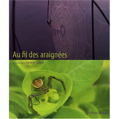 Collectif Au Fil Des Araignées - Publicité Collectif Au Fil Des Araignées - Publicité