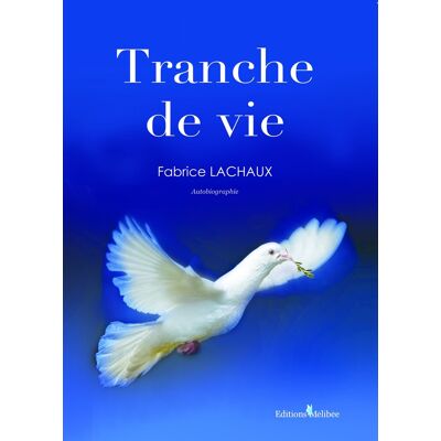 Fabrice Lachaux Tranche De Vie - Publicité Fabrice Lachaux Tranche De Vie - Publicité
