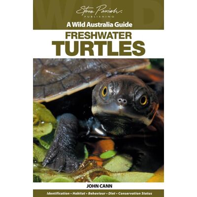 Freshwater Turtles - Publicité Freshwater Turtles - Publicité