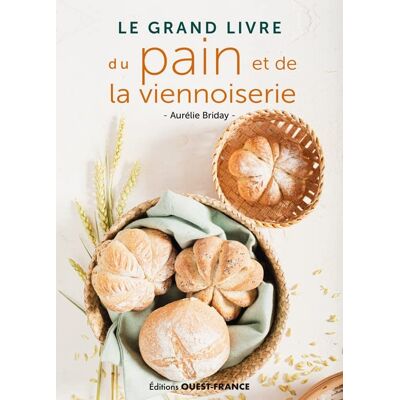 Aurélie Briday Le Grand Livre Du Pain Et De La Viennoiserie - Publicité Aurélie Briday Le Grand Livre Du Pain Et De La Viennoiserie - Publicité