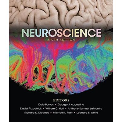 Dale Purves Neuroscience - Publicité Dale Purves Neuroscience - Publicité