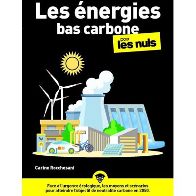 Carine Rocchesani Les Énergies Bas Carbone Pour Les Nuls - Publicité Carine Rocchesani Les Énergies Bas Carbone Pour Les Nuls - Publicité