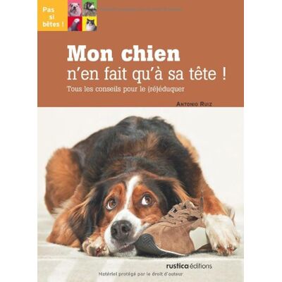 Antonio Ruiz Mon Chien N'En Fait Qu'À Sa Tête ! : Tous Les Conseils Pour Le (Ré)Éduquer - Publicité Antonio Ruiz Mon Chien N'En Fait Qu'À Sa Tête ! : Tous Les Conseils Pour Le (Ré)Éduquer - Publicité
