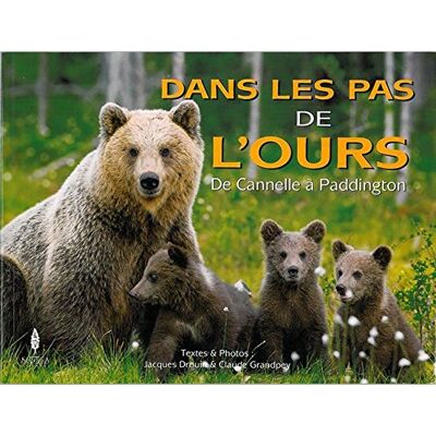 Collectif Dans Les Pas De L'Ours : De Cannelle À Paddington - Publicité Collectif Dans Les Pas De L'Ours : De Cannelle À Paddington - Publicité