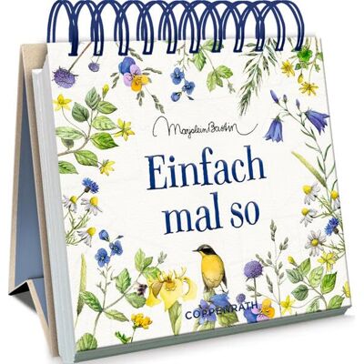 Einfach Mal So (Kleines Spiralaufstellbuch) - Publicité Einfach Mal So (Kleines Spiralaufstellbuch) - Publicité