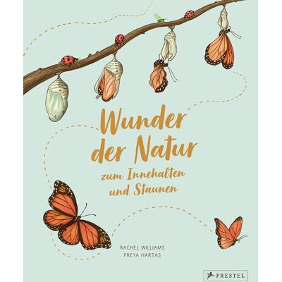 Rachel Williams Wunder Der Natur Zum Innehalten Und Staunen - Publicité Rachel Williams Wunder Der Natur Zum Innehalten Und Staunen - Publicité