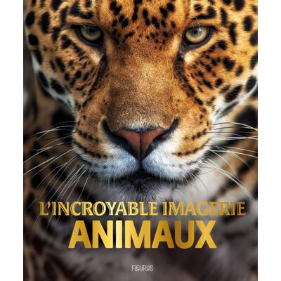 Jamie Collins Animaux - Publicité Jamie Collins Animaux - Publicité