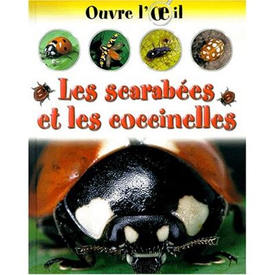 Sally Morgan Les Scarabées Et Les Coccinelles - Publicité Sally Morgan Les Scarabées Et Les Coccinelles - Publicité