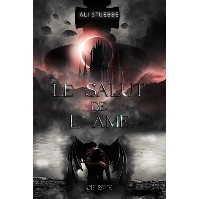 Ali Stuebbe La Dualité De L'Âme. Vol. 2. Le Salut De L'Âme - Publicité Ali Stuebbe La Dualité De L'Âme. Vol. 2. Le Salut De L'Âme - Publicité