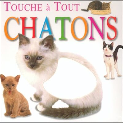Collectif Chatons - Publicité Collectif Chatons - Publicité