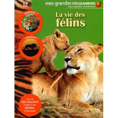 Dorling Kindersley La Vie Des Félins - Publicité Dorling Kindersley La Vie Des Félins - Publicité