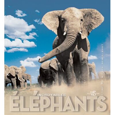 Denis Huot Incroyables Éléphants - Publicité Denis Huot Incroyables Éléphants - Publicité