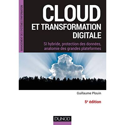 Cloud Et Transformation Digitale : Si Hybride, Protection Des Données, Anatomie Des Grandes Plateformes - Publicité Cloud Et Transformation Digitale : Si Hybride, Protection Des Données, Anatomie Des Grandes Plateformes - Publicité