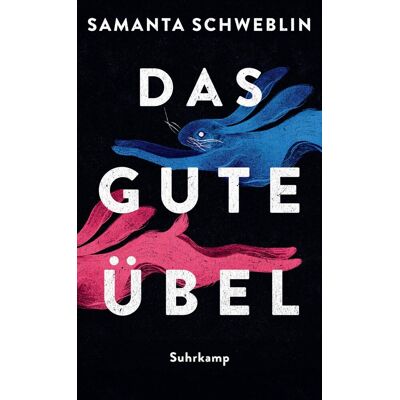 Samanta Schweblin Das Gute Übel: Erzählungen Gestochen Scharfe Horrorgeschichten Der National Book Award Gewinnerin - Publicité Samanta Schweblin Das Gute Übel: Erzählungen Gestochen Scharfe Horrorgeschichten Der National Book Award Gewinnerin - Publicité