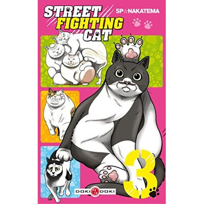 Street Fighting Cat. Vol. 3 - Publicité Street Fighting Cat. Vol. 3 - Publicité