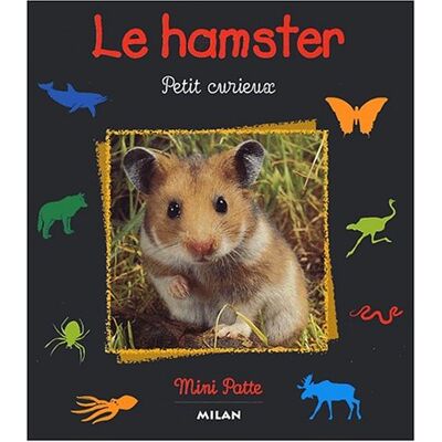 Le Hamster. Petit Curieux - Publicité Le Hamster. Petit Curieux - Publicité