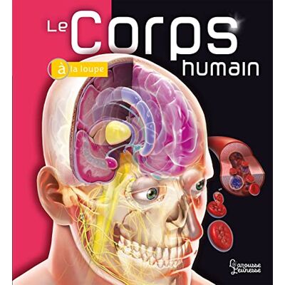 Linda Calabresi Le Corps Humain - Publicité Linda Calabresi Le Corps Humain - Publicité