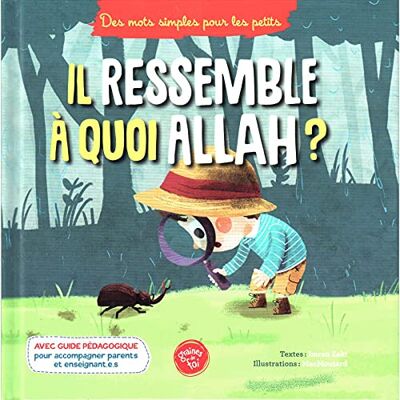 Collectif Il Ressemble À Quoi Allah ? - Publicité Collectif Il Ressemble À Quoi Allah ? - Publicité