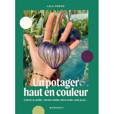 Lola Périer Un Potager Haut En Couleur : Cultiver La Variété : Tomate Violette, Laitue Rosée, Radis Jaune... Publicité Lola Périer Un Potager Haut En Couleur : Cultiver La Variété : Tomate Violette, Laitue Rosée, Radis Jaune... Publicité