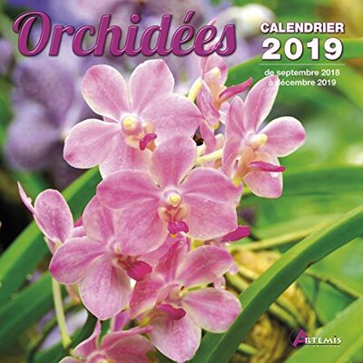 Collectif Orchidées : Calendrier 2019 : De Septembre 2018 À Décembre 2019 - Publicité Collectif Orchidées : Calendrier 2019 : De Septembre 2018 À Décembre 2019 - Publicité