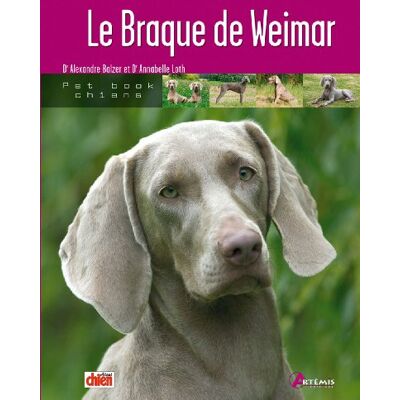 Collectif Le Braque De Weimar - Publicité Collectif Le Braque De Weimar - Publicité