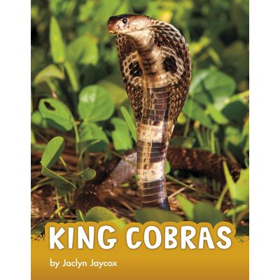 Jaclyn Jaycox King Cobras (Animals) - Publicité Jaclyn Jaycox King Cobras (Animals) - Publicité