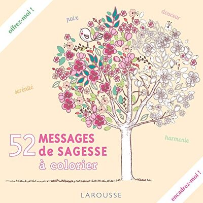 Larousse 52 Messages De Sagesse À Colorier - Publicité Larousse 52 Messages De Sagesse À Colorier - Publicité