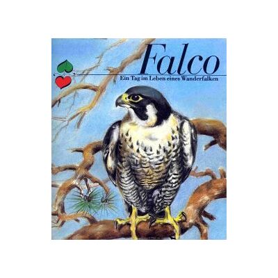 Barbara Kehl Falco - Publicité Barbara Kehl Falco - Publicité
