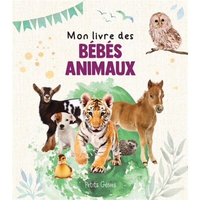 Kim Huynh Mon Livre Des Bébés Animaux - Publicité Kim Huynh Mon Livre Des Bébés Animaux - Publicité