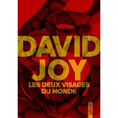 David Joy Les Deux Visages Du Monde - Publicité David Joy Les Deux Visages Du Monde - Publicité