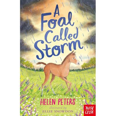 Helen Peters A Foal Called Storm - Publicité Helen Peters A Foal Called Storm - Publicité
