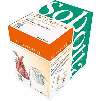 Lars Bräuer Sobotta Lernkartenpaket - Publicité Lars Bräuer Sobotta Lernkartenpaket - Publicité