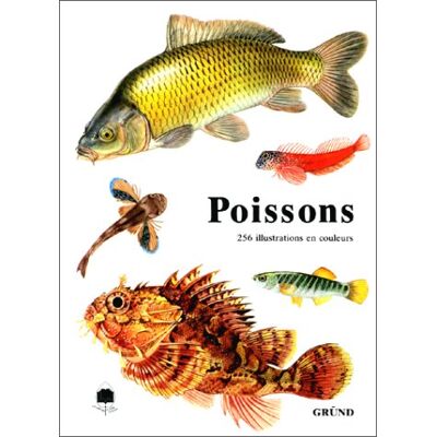 Collectif Poissons - Publicité Collectif Poissons - Publicité
